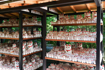 豪徳寺の招き猫