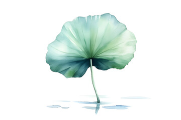  Green Lotus leaf in watercolor painting