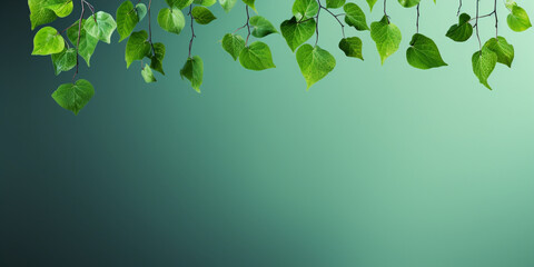 green leaves background