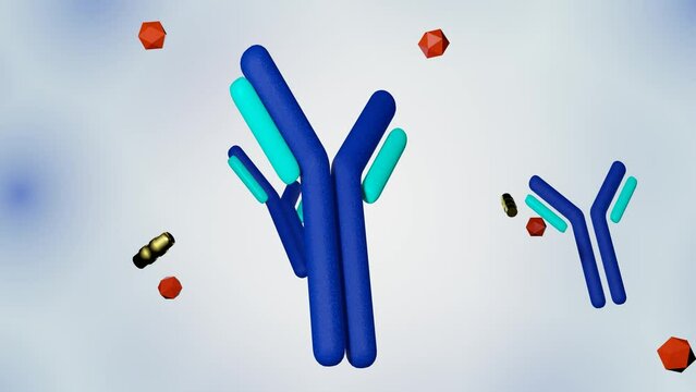 Antibody drug conjugated with cytotoxic payload animation.  antibody linked to a biologically active cytotoxic (anticancer) payload or drug 3d rendering