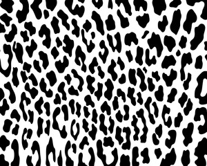 Leopard print pattern animal seamless on a white background classic design.