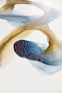 Abstract liquid paints on white canvas