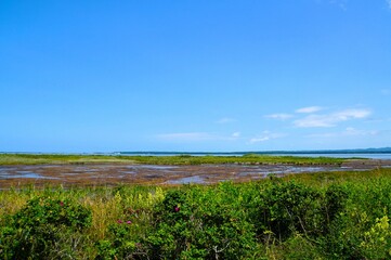 Landscape of Cape Kimuaneppu