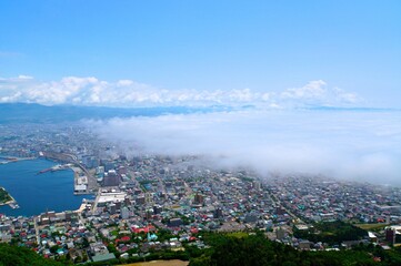 Obraz premium View from Observatory of Mount Hakodate