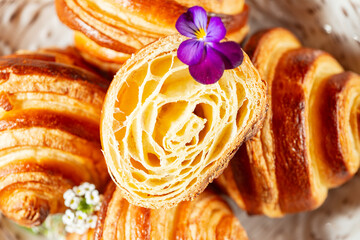 Delicious crispy, flaky, and buttery plain 13-layer croissant with a beautiful honeycomb.