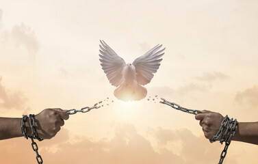 chains on hand that transform into peace birds. freedom and charge concept.