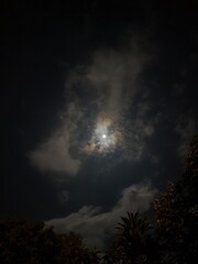 Fototapeta premium MOON BLUE COSTA RICA