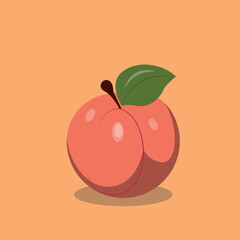 Vector illustration depicting an entire peach