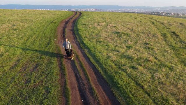 Man Walking With Big Dog On A Summer Field At Sunset Time. Aerial Point Of View Of Walking Male With Pet On A Road. 