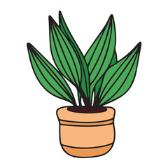Houseplant in pot colored outline isolated on white background. Vector illustration.
