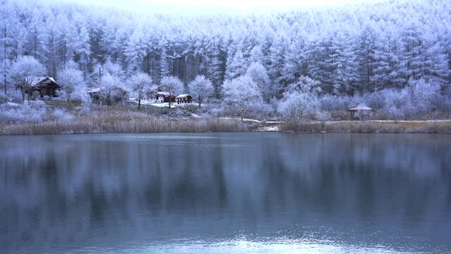 日本の長野県、聖高原の池に映る霧氷の雪景色