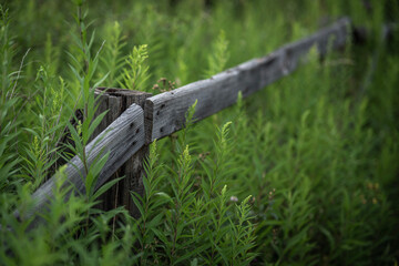Wooden fence in green meadow - park Grodek in Jaworzno