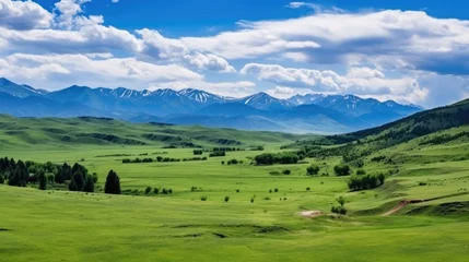  Sweeping vista landscape of the Assy Plateau, a large mountain steppe valley and summer pasture 100km from Almaty, Kazakhstan. © Sasint