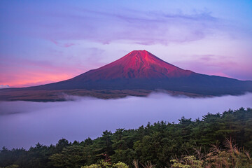 忍野村から富士山と雲海 © 文明 金本