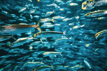 水族館