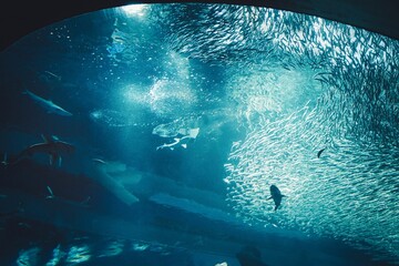 水族館