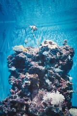 水族館