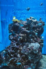 水族館
