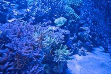 水族館