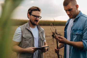 Farmer is showing the root of a plant to inspector.