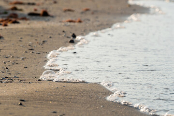 Soft ocean wave on sandy beach on sunset time, selective focus, textured pattern