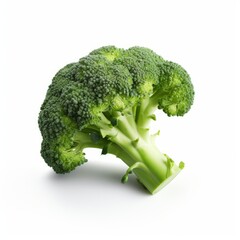 Broccoli isolated on white background. Generative AI image