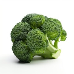 Broccoli isolated on white background. Generative AI image