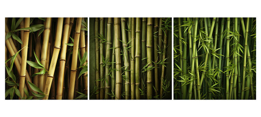 natural bamboo stems background illustration organic tropical, green plant, natural organic natural bamboo stems background