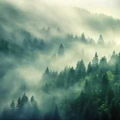 Fototapeten marine layer mist on green  forest poster background  © kora