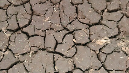 farmland drought cracked cracked, dry soil background