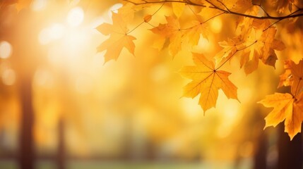 Naklejka na ściany i meble Beautiful orange and golden autumn leaves. Natural autumn background