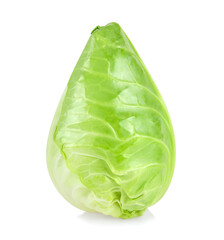 fresh green pointed cabbage isolated on white background - obrazy, fototapety, plakaty