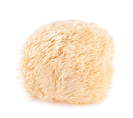 lion mane mushroom isolated on white background. © akepong srichaichana