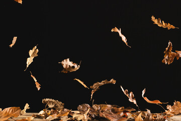 Autumn leaves falling with copy space on black background