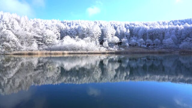 日本の長野県、聖高原の池に映る霧氷の雪景色