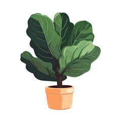 Flat style vector scandinavian Illustration of a foliage plant. Ficus sticker plant pot isolated houseplant trendy isolated on white background