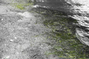 Tuinposter 汚染された湖 © Ken Aoi