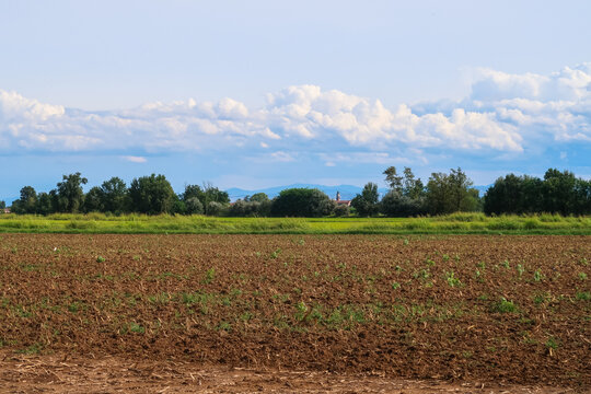 Po Valley Italy panorama landscape fields crops corn wheat soy agriculture