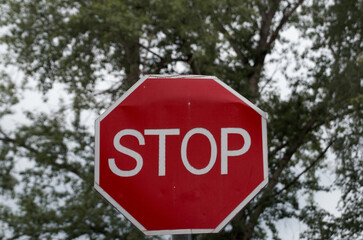 Road sign "stop" against the background of green branches of a tree