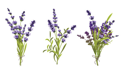 Lavender Floral Compositions