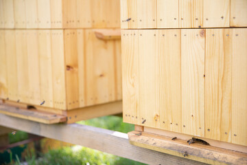 The hive, built of pine boards, stands outside and is used by bees.