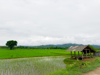 landscape with a river in the country