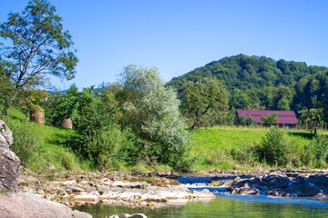 Fototapeta na wymiar River in the Mountains. Beautiful Summer Landscape of the Carpathian Village. Blue-Green Water Among the forest and Rocky Shore. Sunny Day