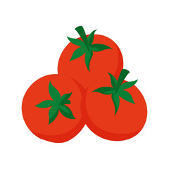 red tomato vector illustration design