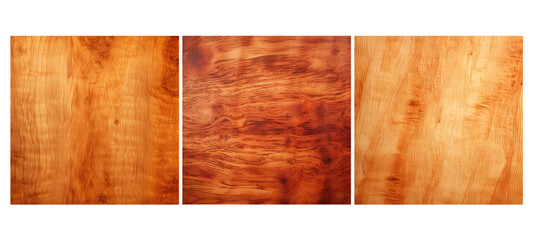 surface flame birch wood texture grain illustration closeup natural, close up, natural timber surface flame birch wood texture grain