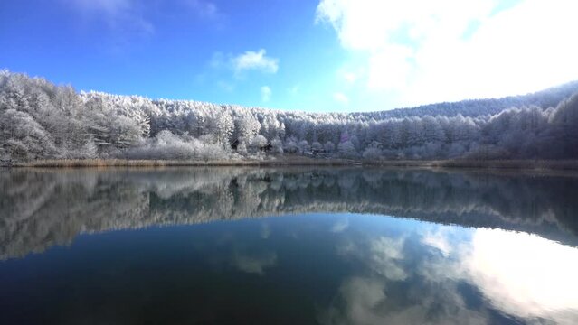 日本の長野県、聖高原の池に映る霧氷の雪景色