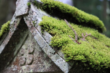 紀伊半島巡礼の旅　高野山