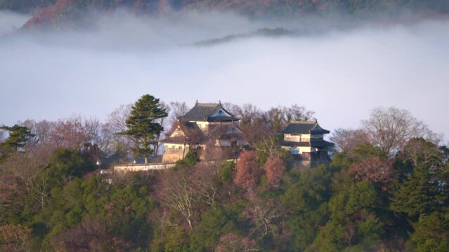 日本の岡山県、夜明けの備中松山城と雲海。