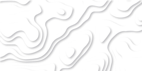 Abstract white paper cut background with lines. Background of the topographic map. White wave paper curved reliefs abstract background. Realistic papercut decoration textured with wavy layers.