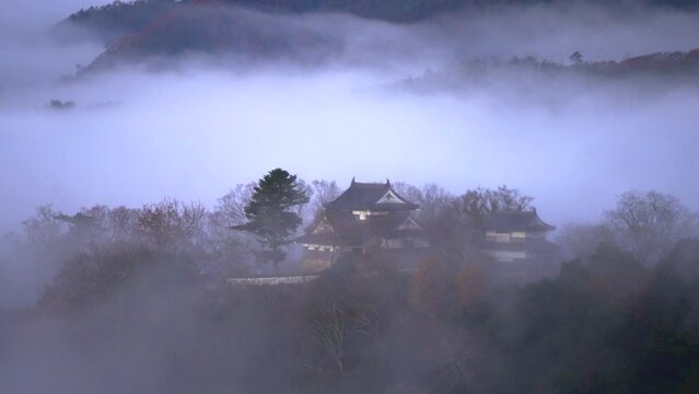 日本の岡山県の夜明けの備中松山城と雲海。